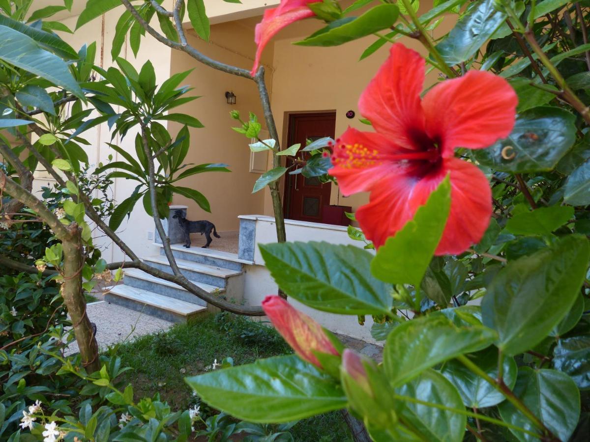 Avgi Garden House Chania With Private Entrance Bagian luar foto