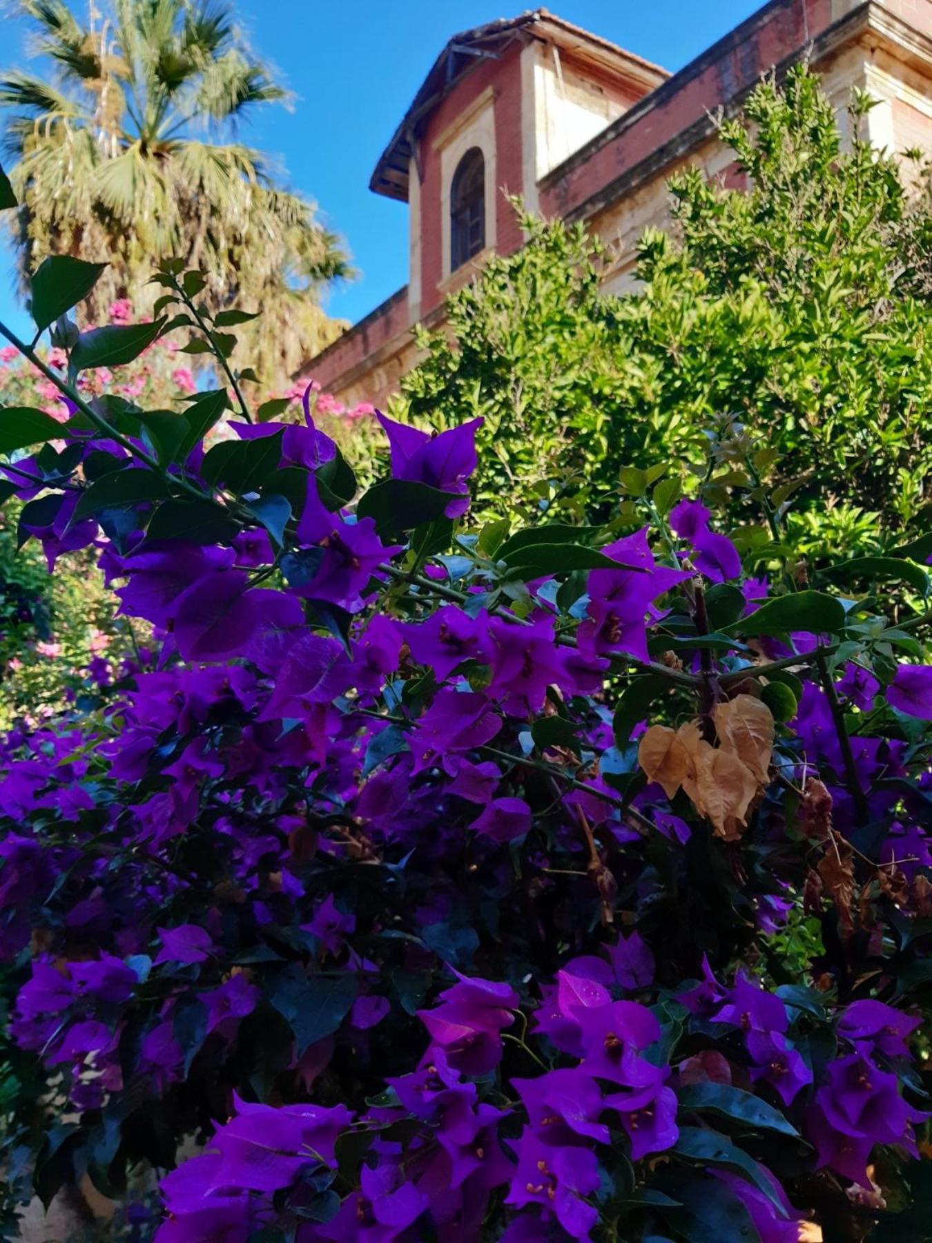 Avgi Garden House Chania With Private Entrance Bagian luar foto