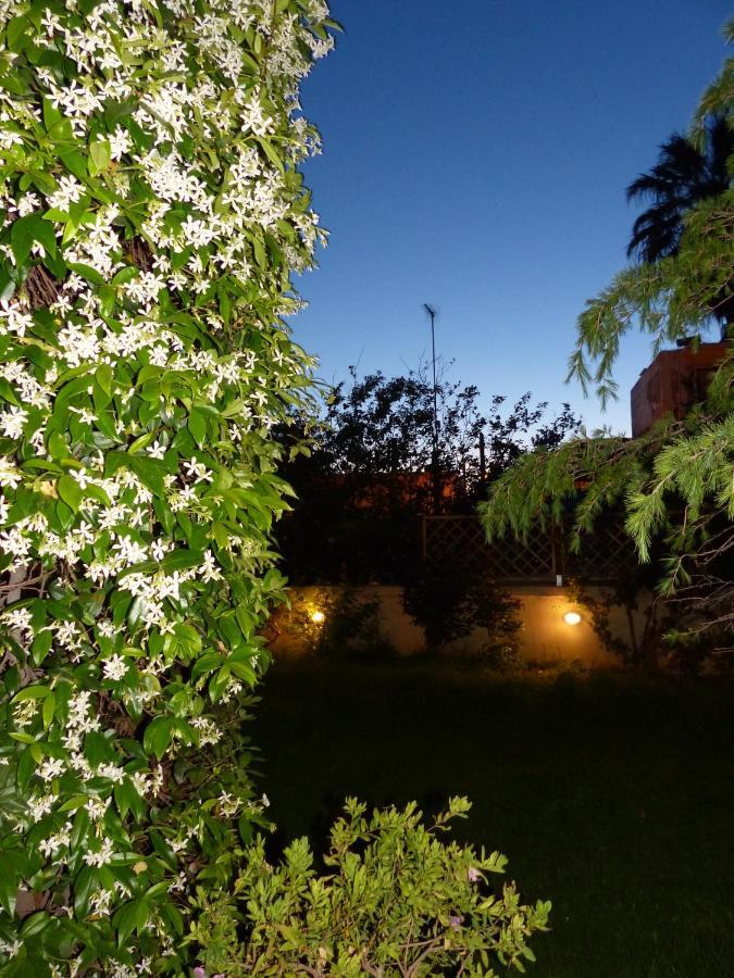 Avgi Garden House Chania With Private Entrance Bagian luar foto