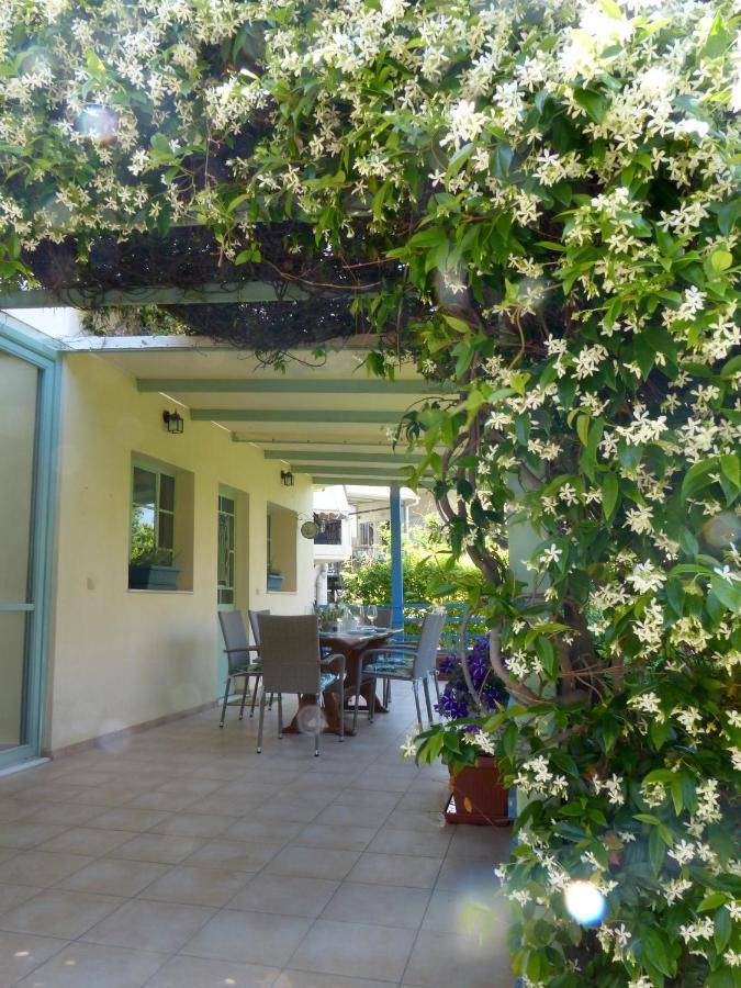 Avgi Garden House Chania With Private Entrance Bagian luar foto