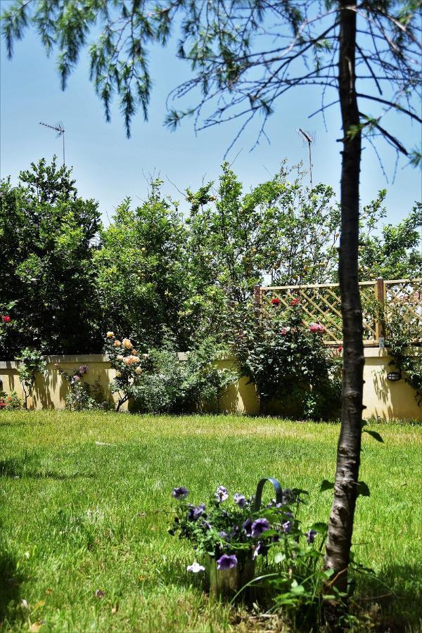 Avgi Garden House Chania With Private Entrance Bagian luar foto